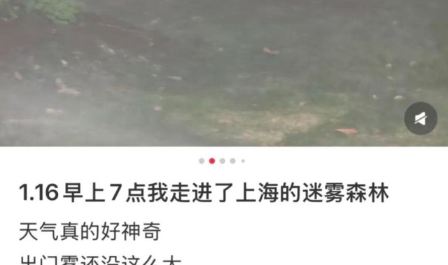v体育-上海：入冬以来最强雨雪冰冻将袭！网友：没见过这么大雾，路口竟看不到红绿灯！